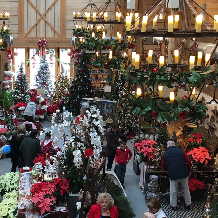 Santa visiting at Valley Flowers